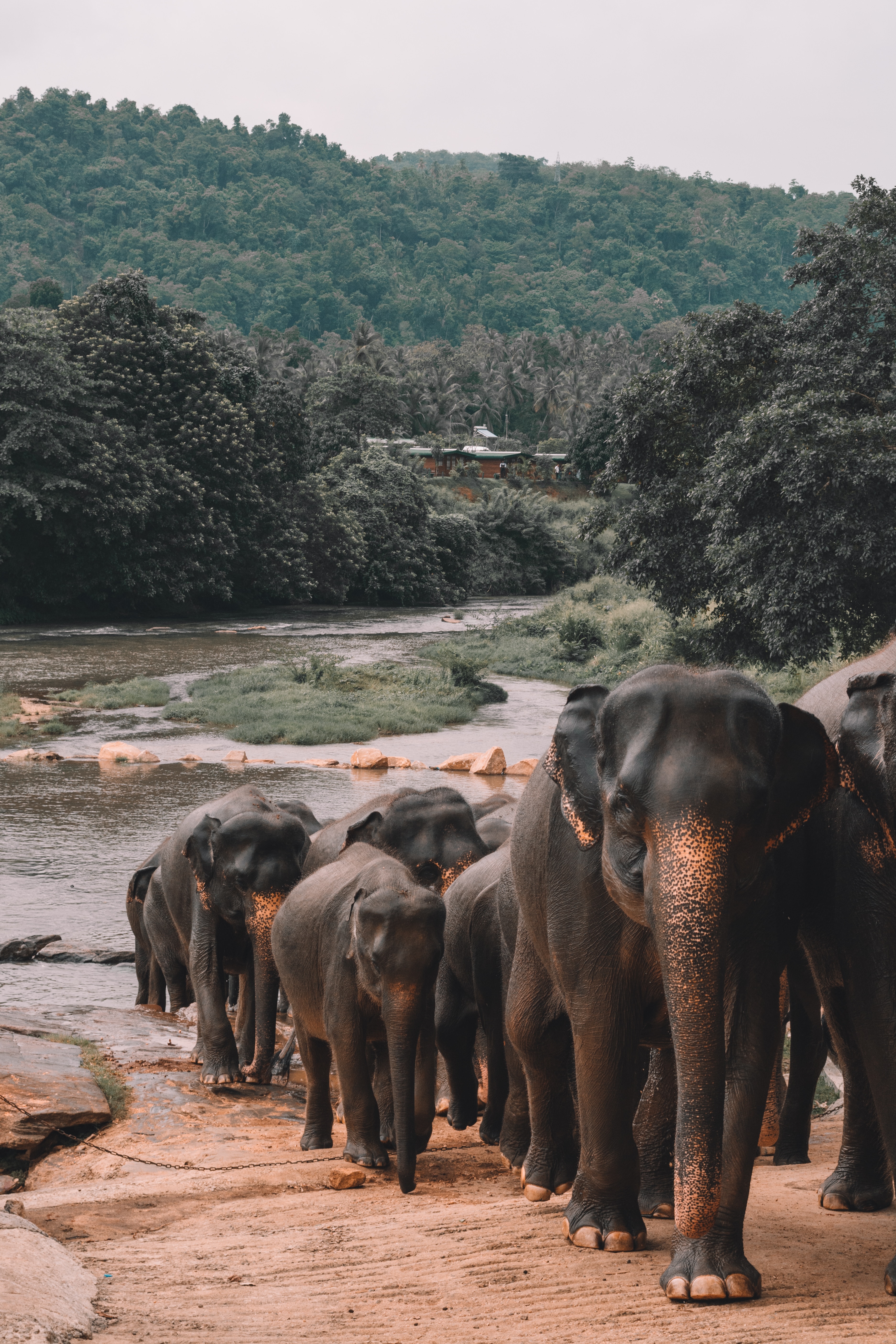 SRI LANKA alex-azabache-hZhhVLLKJQ4-unsplash