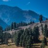 kashmir