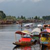 kashmir