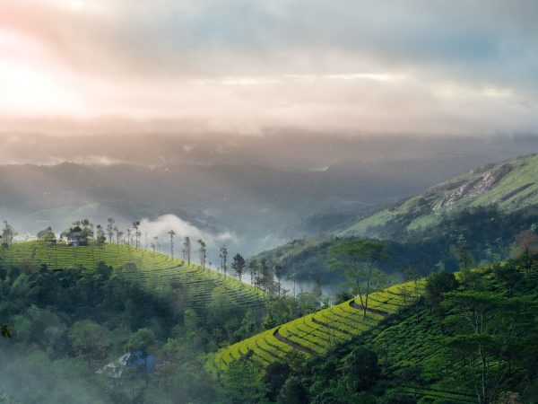 Essential Kerala