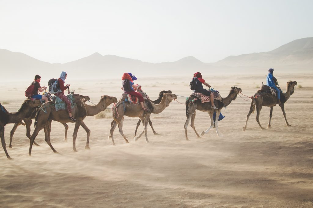 group travel
