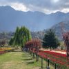 enchanting kashmir