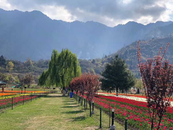 ENCHANTING KASHMIR