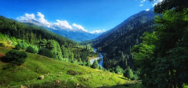 enchanting kashmir