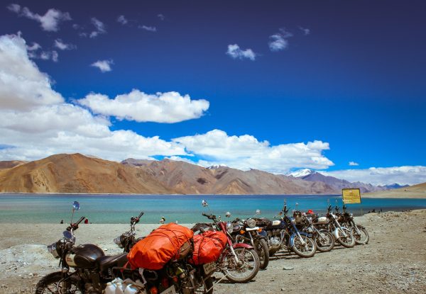 serene ladakh