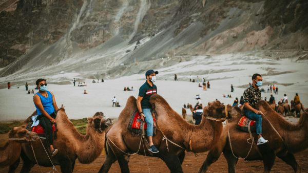 serene ladakh